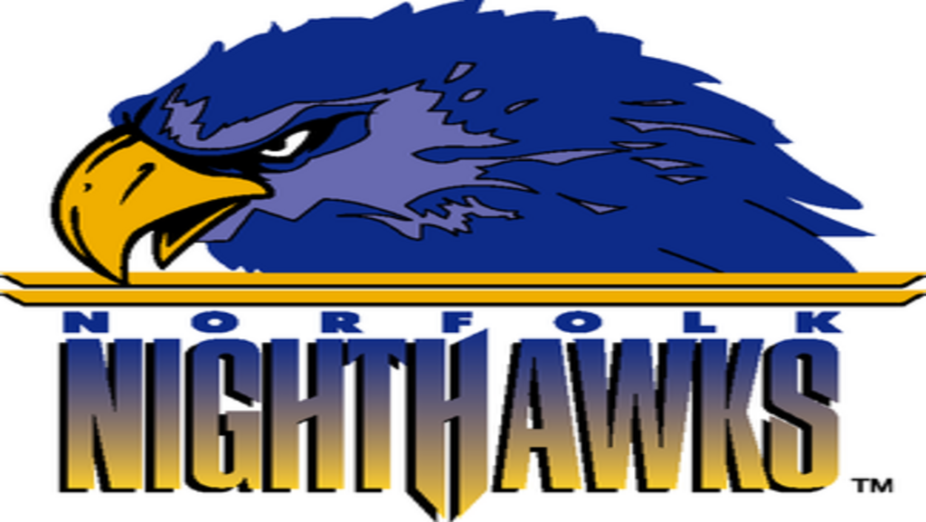 Norfolk Nighthawks’ summer basketball program for young adults makes a comeback